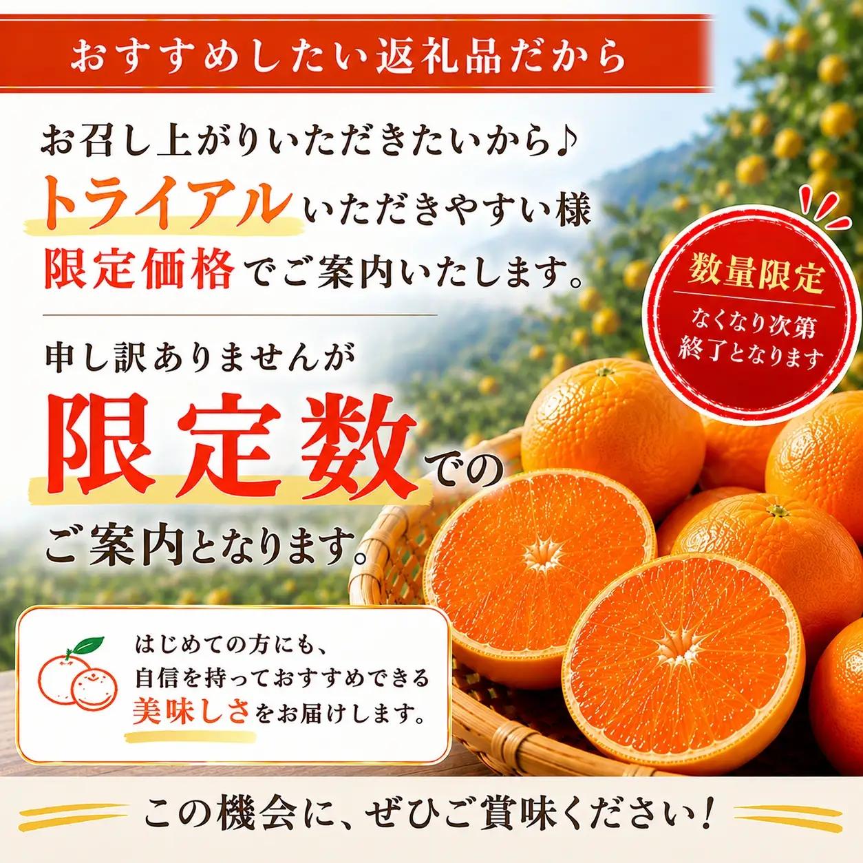 【先行受付】限定150個　柑橘の大トロ!「せとか」約3.6キロ【訳あり品・家庭向け】YWTF063