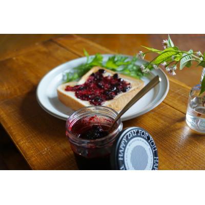 ふるさと納税 厚岸町 冷凍ハスカップ 1.5kg 農薬・除草剤・化学肥料栽培期間中不使用 2024年産 |  | 02