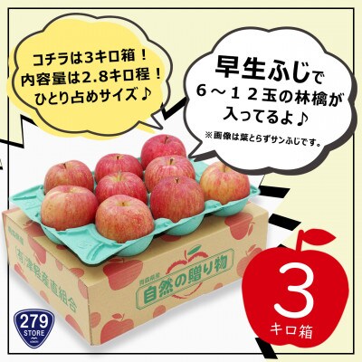 10月初旬頃発送 早生ふじ A品 3キロ箱 2.8kg 6～12玉 津軽りんご 産地直送【配送不可地域：離島】