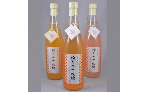 林檎ジュース 720ml 6本 りんご しぼりたて 砂糖不使用 保存料不使用 リンゴジュース 盛岡りんごジュース ストレート 林檎 100％ ストレートりんごジュース 100％ジュース フルーツジュース ジュース 岩手りんご 国産 無添加 果汁 飲料 飲み物 ドリンク 瓶 産地直送 特産品 名産品 お取り寄せ ギフト 岩手県 盛岡市 東北 岩手 盛岡 乙部角屋 佐々木果樹園