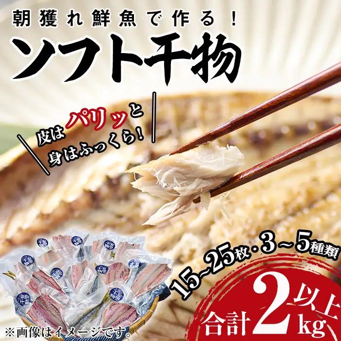 朝獲れ鮮魚で作る！魚屋さんの自家製ソフト干物！合計1kg以上(5～10枚)アジ イワシ カマス イカ タイ ブリカマ セット 詰め合わせ ひもの 焼き魚 おかず お惣菜【YS-3】【株式会社安田】