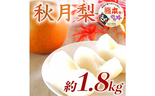 FKP9-729 秋月梨 1.8kg ナシ 梨 果物 くだもの フルーツ