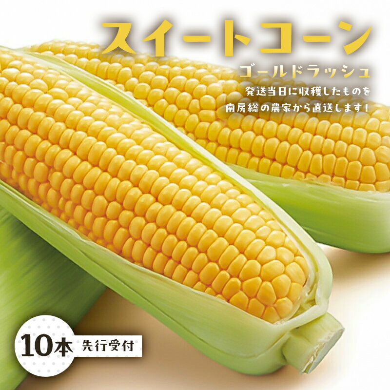 【ふるさと納税】【先行受付 2025年6月下旬～7月中旬発送予定】 トウモロコシスイートコーン ゴールドラッシュ 10本 発送当日に収穫したものを南房総の農家から直送します！ 千葉県 南房総市 朝採れ 新鮮 生 野菜 甘い ジューシー お取り寄せ グルメ 送料無料