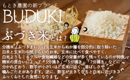 ＜分搗米「BUDUKI」ひめの凜 「7ぶづき」2合入り×3個（900g）＞ ひめのりん 分づき米 ぶづき米 ぶずき米 お米 コメ こめ 選べる 7分づき 玄米 精米 ご飯 もとき農園 愛媛県 西予市【