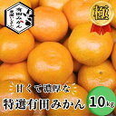 【ふるさと納税】 有田みかん 特選 極 10kg 30000円 【 創業120年 農家直送 】 ※11月より順次発送予定 / みかん 温州みかん 高級 贈答 ギフト お歳暮 柑橘 くだもの 果物 果実 フルーツ 和歌山 紀州 有田 //mandarin