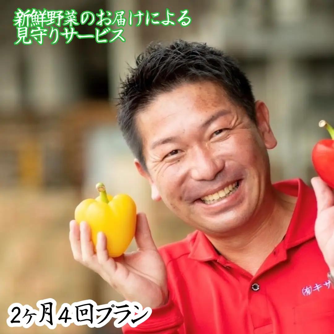 新鮮野菜のお届けによる見守りサービス（2ヶ月4回お届け）【兵庫県 高砂市】