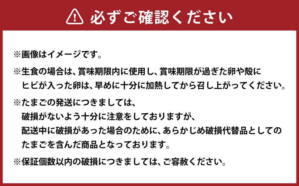 「 ホソヤさんちのいきいき卵 」静岡産まれ 40個 （ 割れ補償 5個含む ） セット 化粧箱入 たまご 卵 玉子 生卵 静岡 国産