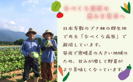 【先行予約】～旬っていちばんのごちそう～ひぐらし農場 季節の野菜便（秋）大サイズ（7-A38）