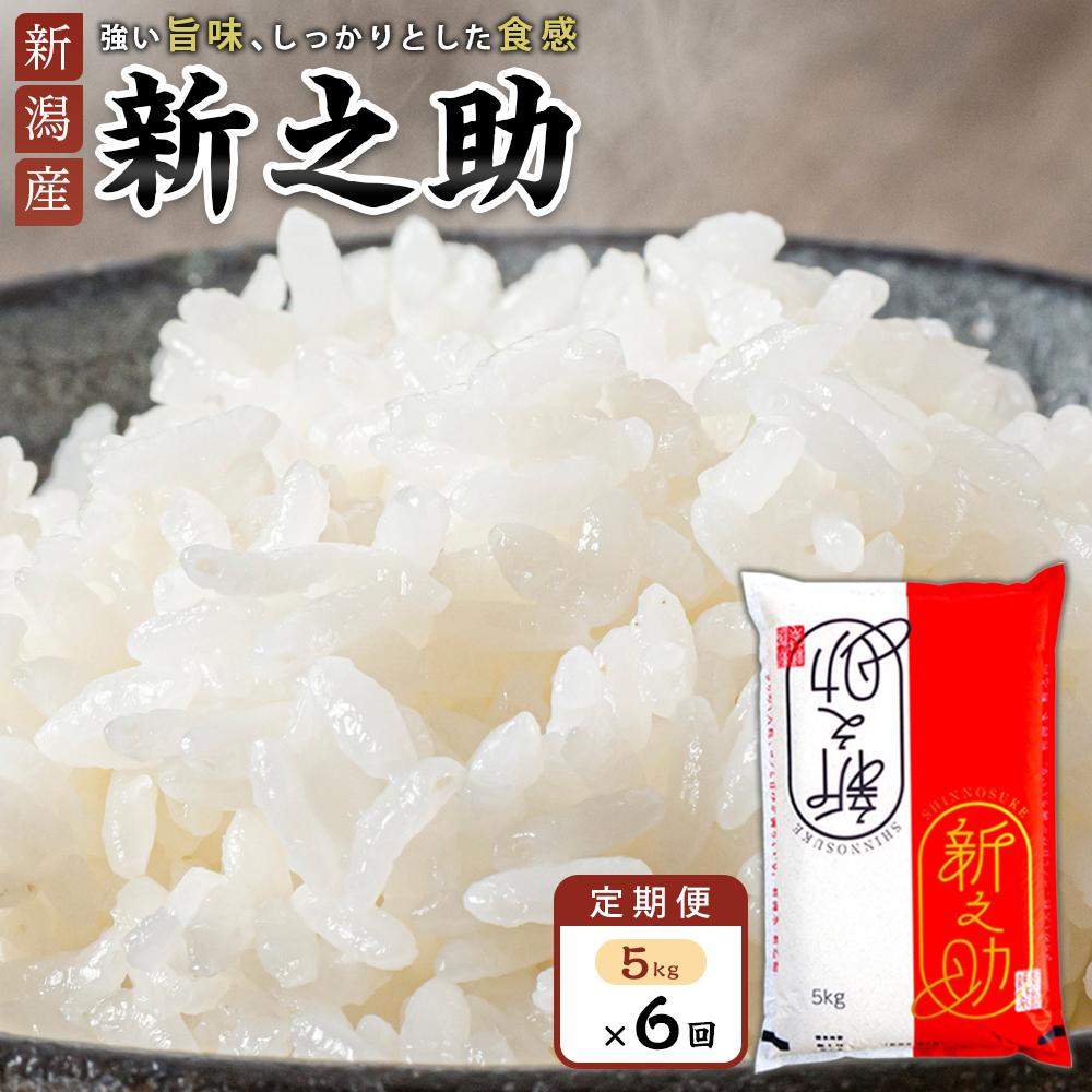 【ふるさと納税】【定期便】新之助 5kg×6ヶ月連続お届け