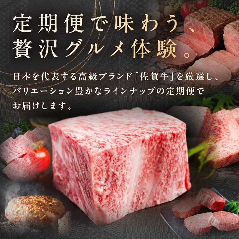 【発送月固定 定期便】肉のプレミアム定期便! 毎月 佐賀牛 をお届け!全12回 J1173