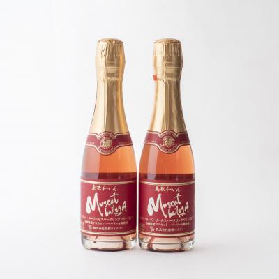 ふるさと納税 出雲市 日本酒・スパークリングワイン6本セット【2_2-007】 |  | 02