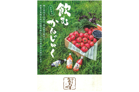＜予約販売！8月以降の出荷！＞ 農家の手作りドリンクセッ