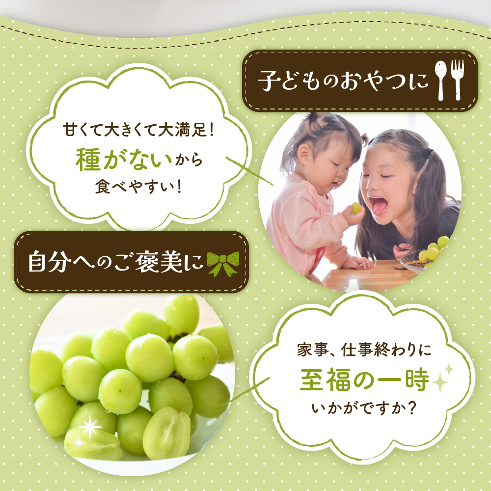 【2026年 先行予約】ぶどう「シャインマスカット」2房 (約1.3kg～1.4kg) 山形県 東根市 hi003-153