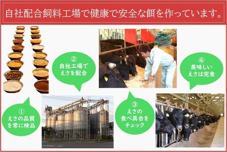 027-90 5等級黒毛和牛サーロインすき焼き・しゃぶしゃぶ300gシート入り