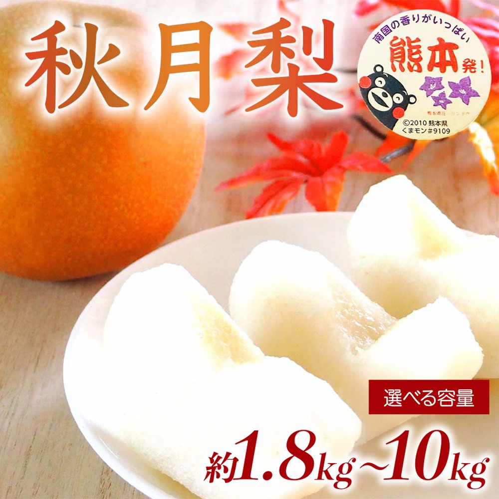 
                  先行予約 秋月梨 選べる容量 約1.8kg 約3kg 約5kg 約10kg 【2026年9月上旬～2026年9月下旬配送予定】梨 なし ナシ 和梨 秋月 あきづき 果物 フルーツ くだもの 国産 産地直送 高級 甘い みずみずしい 大きい 大玉 食感 新品種 日本フルーツ
                