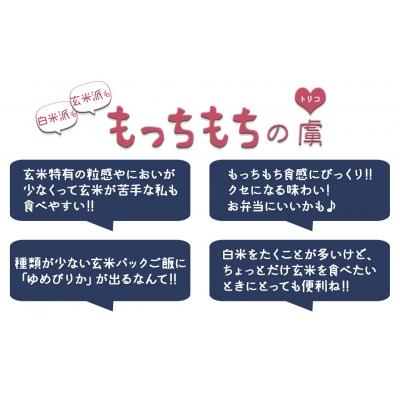 ふるさと納税 碧南市 【24回定期　玄米パックご飯】北海道産ゆめぴりか 150g×24個 やわらかい玄米　H074-682 |  | 02