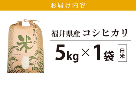 コシヒカリ 5kg 令和5年 福井県産【白米】【お米 こしひかり 5キロ 人気品種】 [e30-a051]