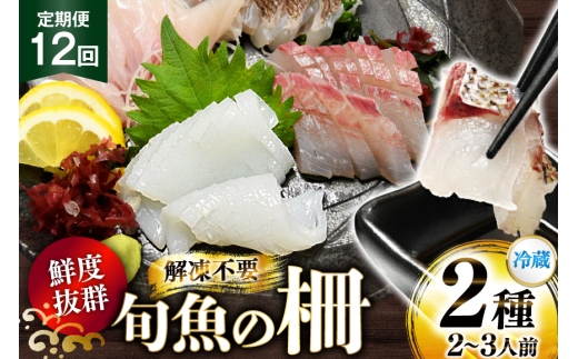 刺身 鮮魚 旬魚 の柵2種 セット （刺身1種& イカ 1種）（2〜3人前 12回 定期便 [舘浦漁協 長崎県 平戸市 hr42bgy420046] おつまみ 柵 冷蔵 新鮮 海鮮 盛り合わせ 旬 切るだけ 真空パック