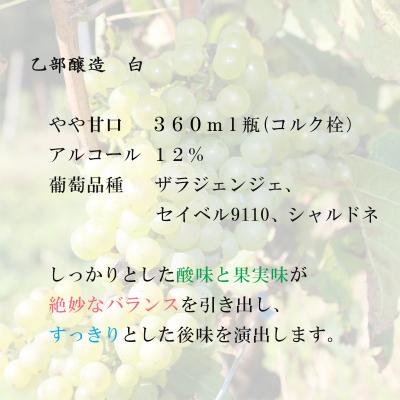 ふるさと納税 乙部町 【乙部醸造ワイン　赤・白+ミスタ―ジンギスカン　ハーフボトル4本セット】北海道産　360ml×4本 |  | 02