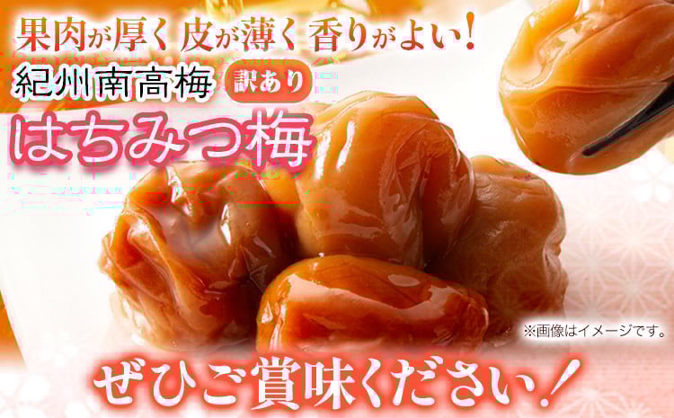 南高梅 はちみつ 梅 わけあり 紀州南高梅 はちみつ梅 2.6kg 有限会社プラム《30日以内に出荷予定(土日祝除く)》和歌山県 日高町 送料無料 梅 うめ ウメ 南高梅 蜂蜜 紀州 訳あり 送料無料