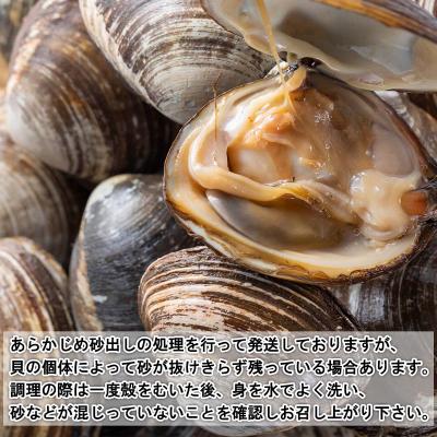 ふるさと納税 新ひだか町 北海道産活ホッキ貝 15個(殻付き) |  | 02