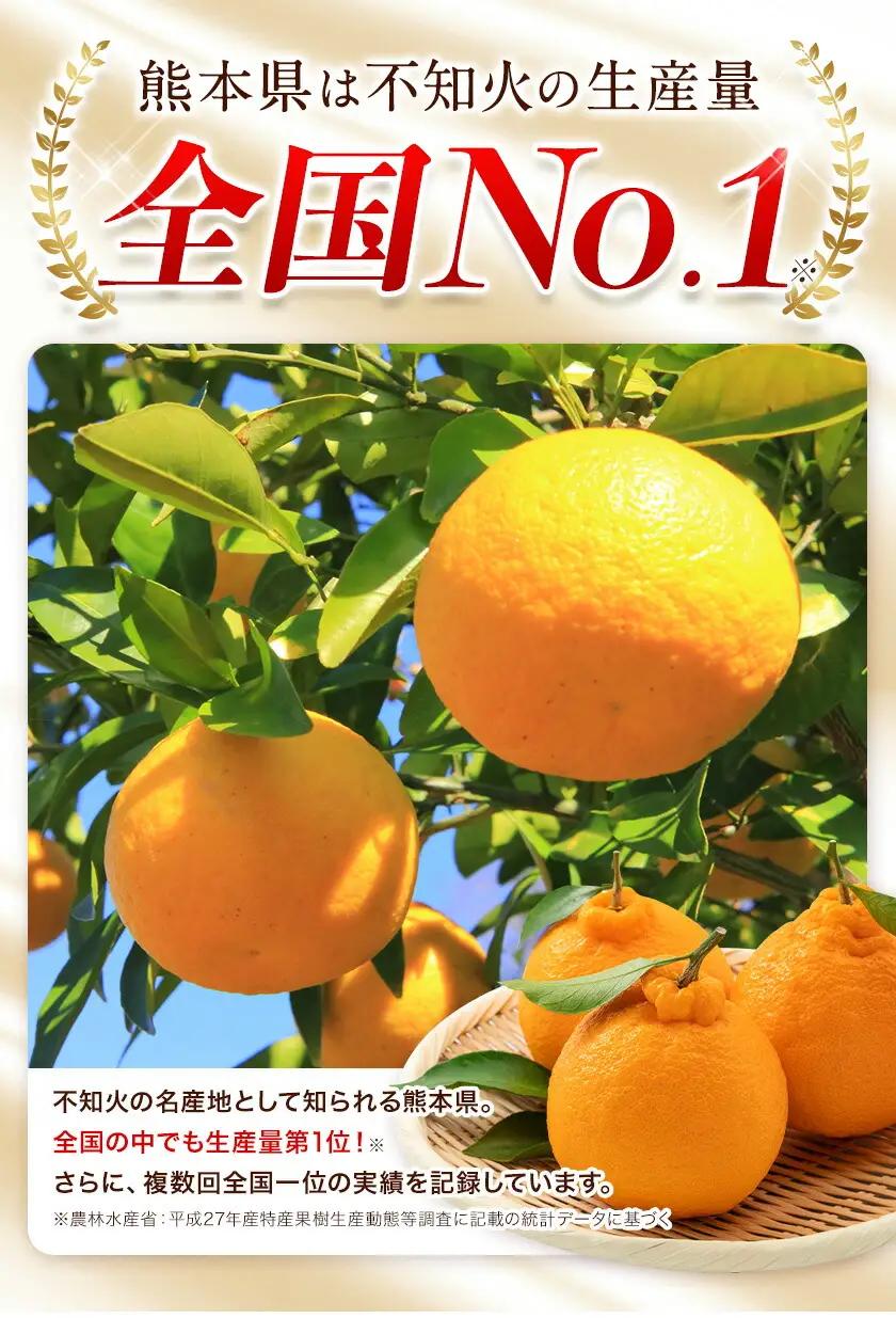 不知火 熊本 訳あり 3.5kg 不知火