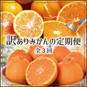 【3か月定期便】たっぷり届く♪訳ありみかんの定期便 /定期便 みかん 柑橘類 果物定期便 フルーツ 訳あり 有田みかん 和歌山【tkb113】