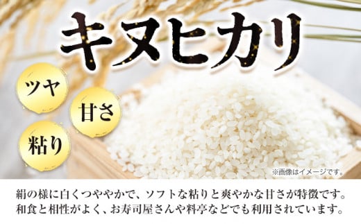 米 令和7年産 新米 無洗米 キヌヒカリ 約2kg 《2026年10月中旬‐1月中旬頃出荷》東農園 和歌山県 岩出市 米 こめ コメ きぬひかり 白米 送料無料