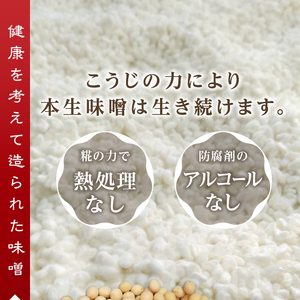 味噌 糀 手造り 職人 約800g×3袋+3年 赤味噌 約120g (a12-236)
