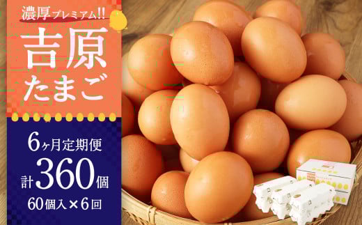 G-10 【６ヶ月定期便】濃厚プレミアム！！吉原たまご2箱 30個入り×2箱 計60個 卵 たまご