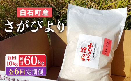 【令和7年11月以降発送】【6回定期便】さがびより（白米） 10kg / 米 お米 ごはん ご飯 ブランド米 定期便 九州 [IAS017]