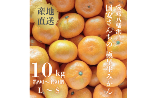 ＜創業85年 親子4代 愛媛みかん 一筋＞愛媛八幡浜産 極早生みかん 10kg＜F20-44＞【1594909】