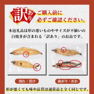 【訳あり】鹿児島県大隅産！楠田の極うなぎ白焼き 有頭1.5kg（約7尾～11尾）