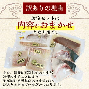 毎月定期便 訳あり 海鮮 ボックス 1.2kg セット 毎月 全2回 冷凍 真空パック おまかせ マグロ まぐろ 鮪 生まぐろ 鯛 たい かんぱち 勘八 シマアジ ヒラマサ 平昌 新鮮 魚 魚介 海鮮