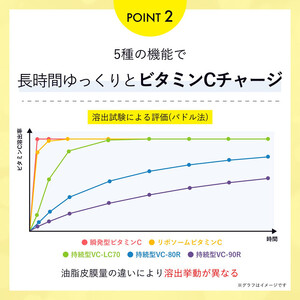ELLISS ビタミンC 1000（90粒×2袋）