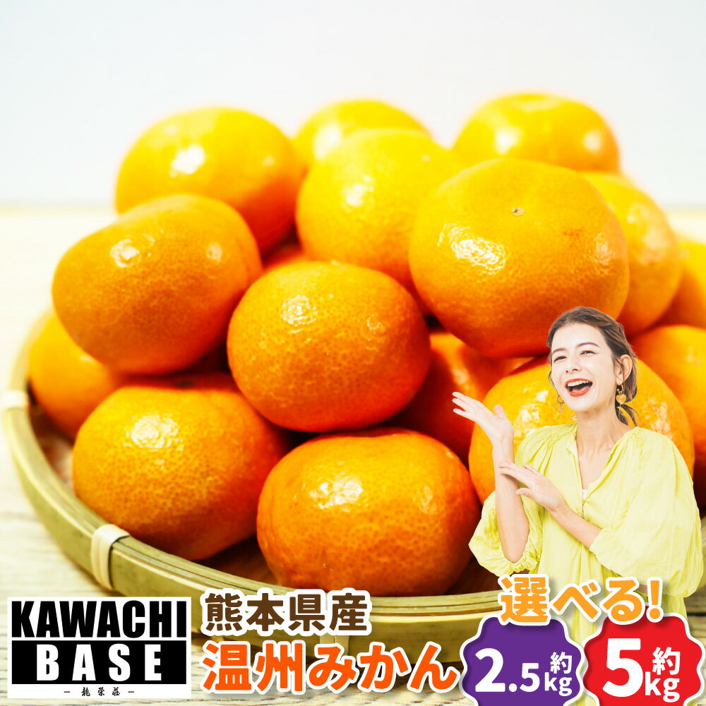 【ふるさと納税】＜選べる容量＞ 熊本県産 温州みかん 2.5kg / 5kg｜みかん 温州 薄皮 酸味 甘味 常温配送 九州 熊本県 送料無料 【2026年11月上旬発送開始】