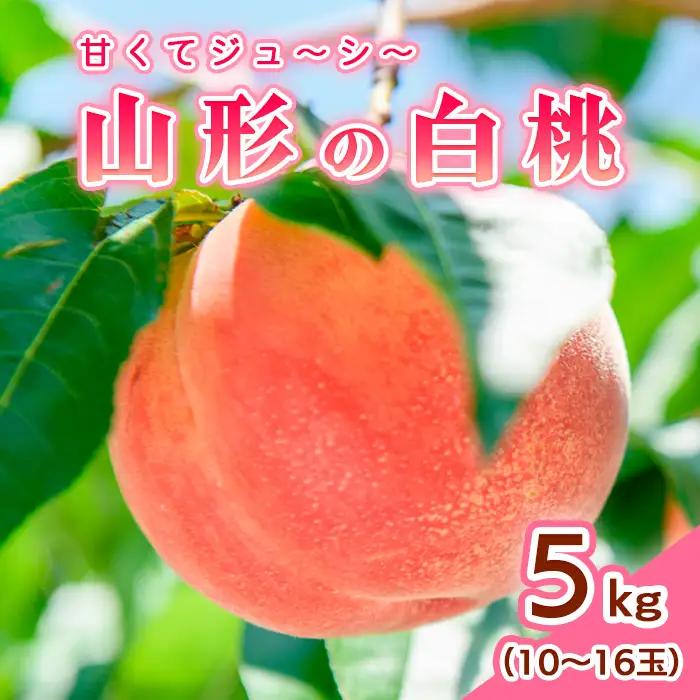 山形の白桃 5kg(10~16玉)Bコース(柔らかくなる品種・果肉やや硬め)【令和8年産先行予約】FS24-566 くだもの 果物 フルーツ 山形 山形県 山形市 2026年産