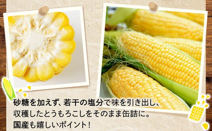 [№5525-0630]北海道 自然甘 ホールコーン 7号 230g×24缶 スイートコーン コーン とうもろこし とうきび トウモロコシ 缶詰 国産 甘い 長期保存 備蓄 常温 クレードル 送料無料