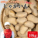 【ふるさと納税】 訳あり じゃがいも10kg メークイン 不揃い S~Lサイズ 混合 こだわり栽培 肉じゃが カレー ポテトサラダ コロッケ シチュー スープ ポトフ 芋 国産 徳島県 阿波市 須見商店 数量限定 産地直送