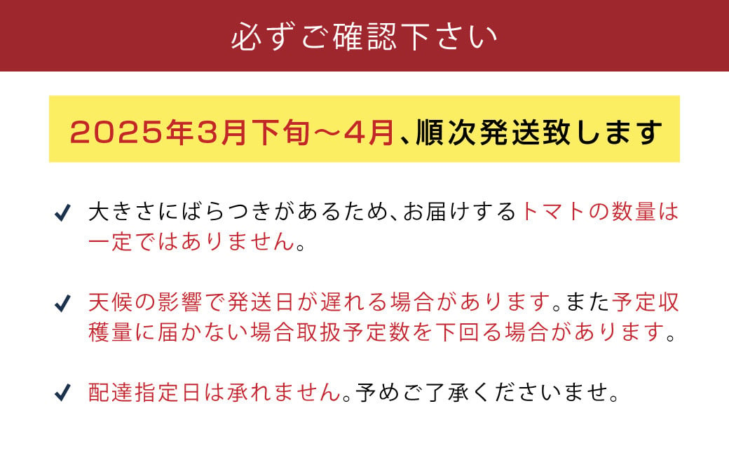 【数量限定 先行予約】たかしまフルーティトマト 「情熱ハート」 1kg箱×1 