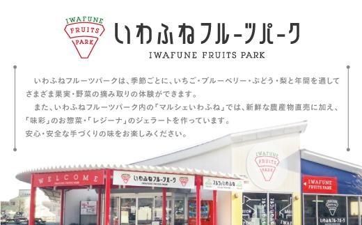 栃木市岩舟産とちあいか【フルーツ 果物 くだもの 食品 人気 おすすめ 送料無料】