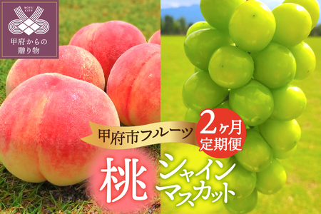 〈2026年度配送分〉甲府市フルーツ定期便（2回） 【桃 約2kg（6～8玉）・シャインマスカット 2～3房（1.2kg以上）】
