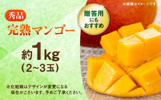 秀品 完熟マンゴー約1kg（2～3玉）