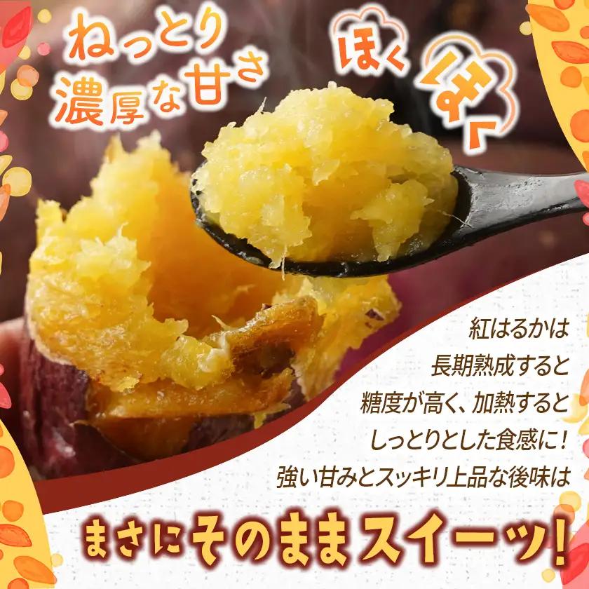 【5回お届け!】都城産 長期熟成紅はるか 3kg 定期便〔TLE5-I201〕_(都城市) 都城産 さつまいも 熟成紅はるか 秀品 3kg サイズ未選別 S～L 