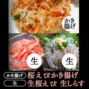 生桜えび、生しらす、桜えびかき揚げセット【配送不可：離島】