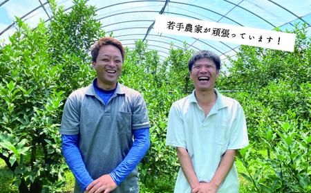 【先行予約/数量限定】完熟きんかん「たまたま」１kg / 宮崎県産 金柑 フルーツ 果物 柑橘 きんかん 甘い 希少 特産品 ギフト プレゼント お取り寄せ キンカン 国産  産地直送 送料無料 綾町