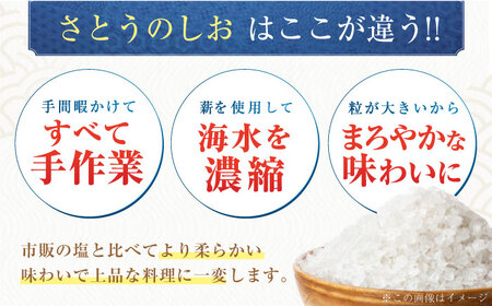 【全4回定期便】さとうのしお5袋×4回 海水 塩 ソルト 小分け ミネラル 五島市/さとうのしお窯 [PED003]