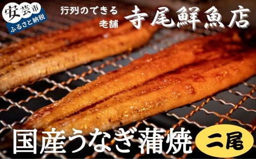 うなぎ蒲焼 国産 2尾 冷凍 タレ付き 蒲焼き ウナギ 鰻 土用丑の日 老舗 寺尾鮮魚店 職人 特製タレ ふっくら 美味しい 創業60年 地元 愛される うま味 国産うなぎ蒲焼 2尾 約400g 冷凍 タレ付き 行列 鮮魚 うなぎ料理 夏バテ防止 スタミナ食 高級 グルメ ギフト 贈り物 国内産 安芸市 高知県