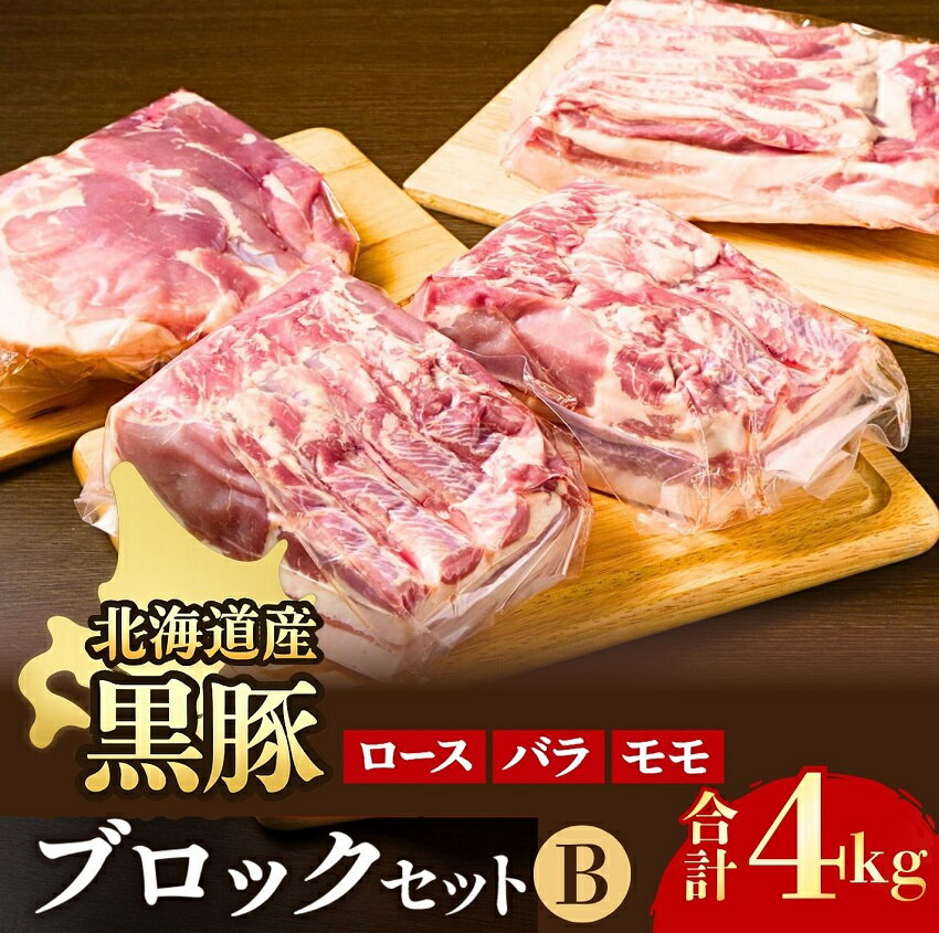 【ふるさと納税】北海道 黒豚ブロックセットB（4kg）C012-4-2