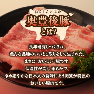 ふるさと納税 大分市 大分県産 奥豊後豚の丼セット 計7パック_A02025 |  | 01